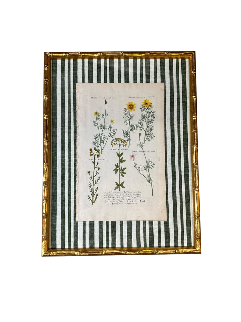 Pair of Green Striped Botanicals