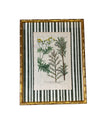Pair of Green Striped Botanicals