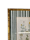 Pair of Green Striped Botanicals