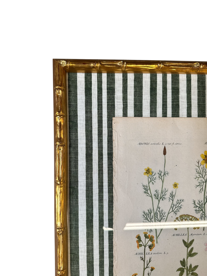 Pair of Green Striped Botanicals