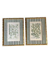 Pair of Green Striped Botanicals