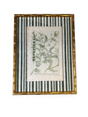 Pair of Green Striped Botanicals