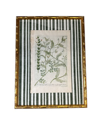 Pair of Green Striped Botanicals