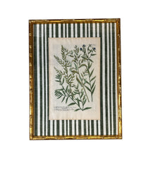 Pair of Green Striped Botanicals