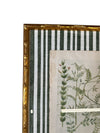 Pair of Green Striped Botanicals