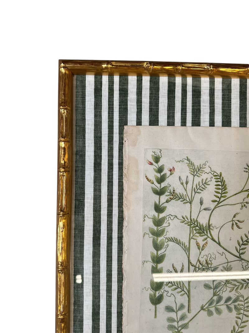 Pair of Green Striped Botanicals