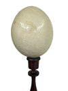 Mounted Ostrich Egg