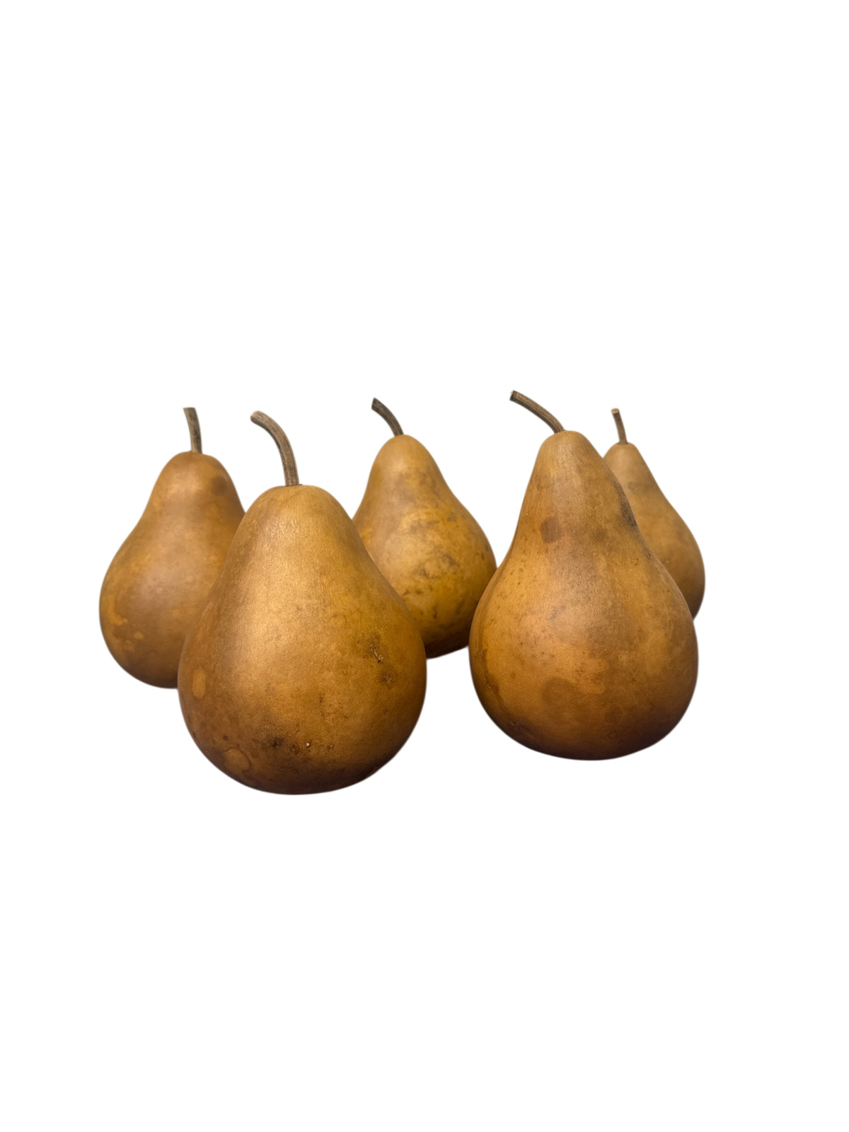 Set of 5 Dried Pears