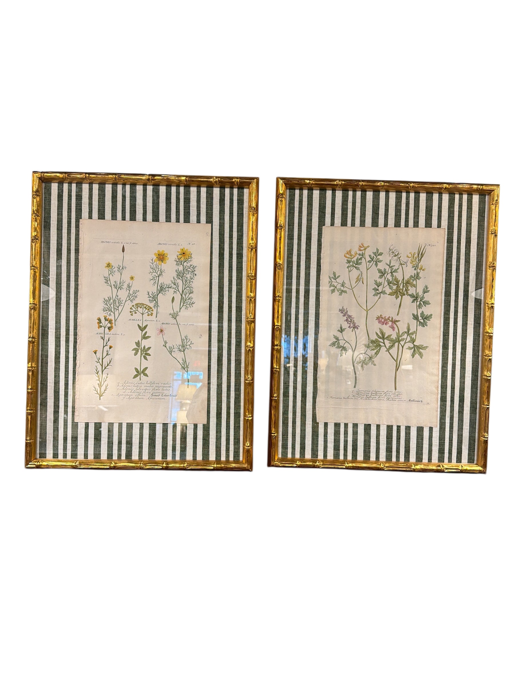 Pair of Green Striped Botanicals