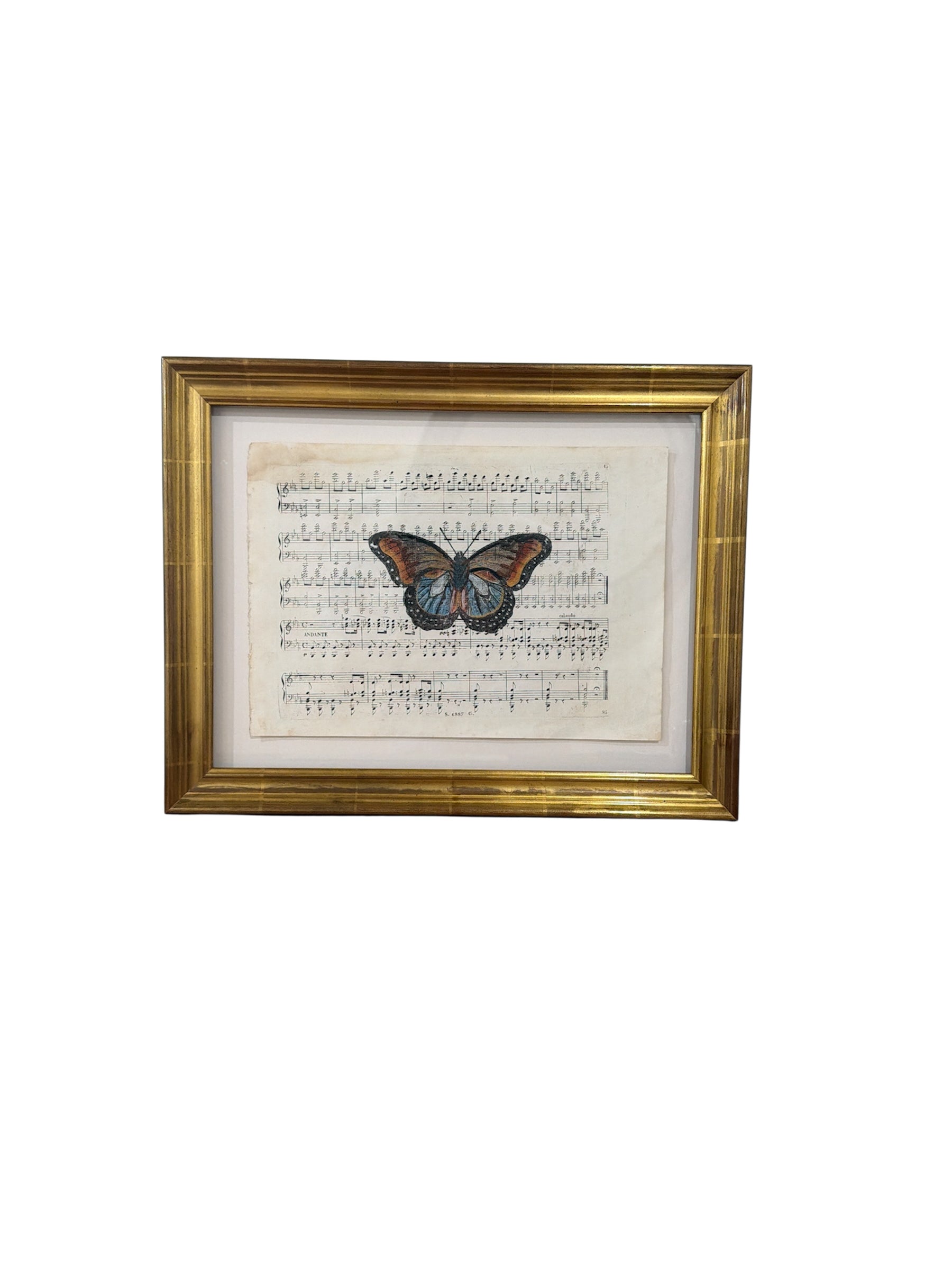 Hand Colored Butterfly’s N0.1