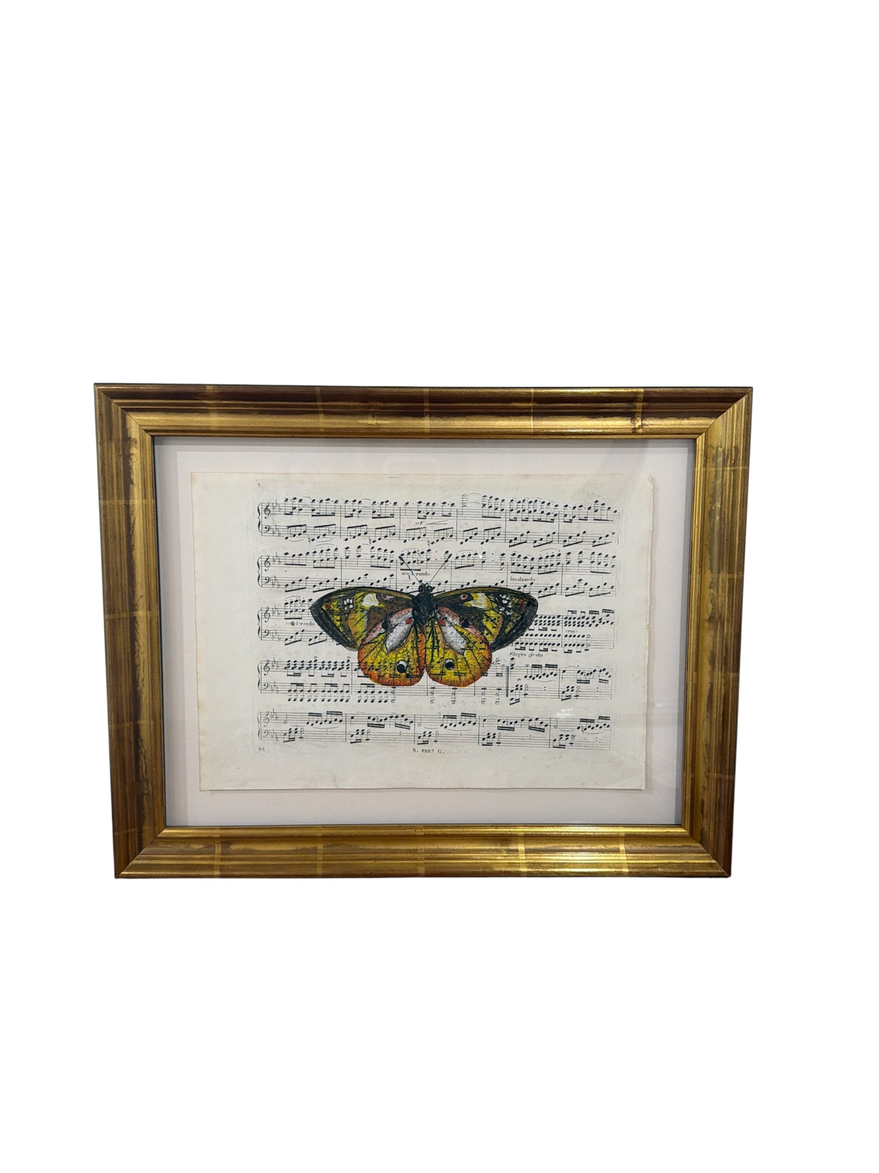 Hand Colored Butterfly’s N0.3