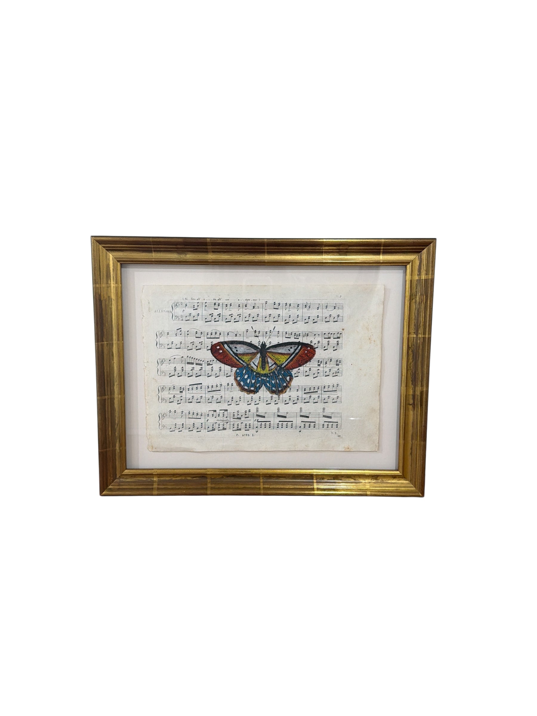 Hand Colored Butterfly’s N0.2