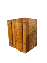 Set of 7 Viktor Rydberg Antique Books