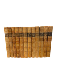 Set of 12 Scandinavian Antique Books