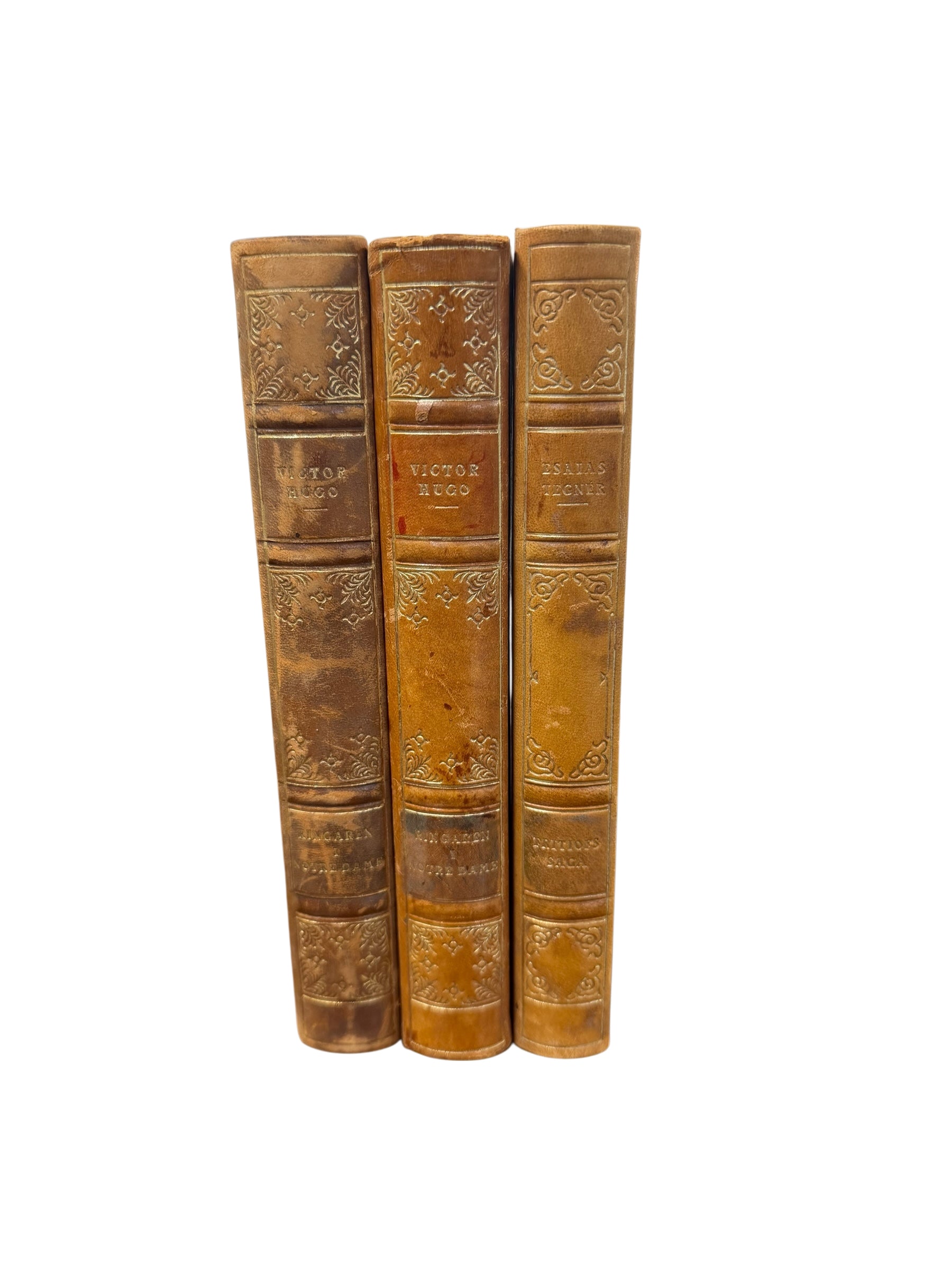 Set of 3 Victor Hugo & Scandinavian Antique Books
