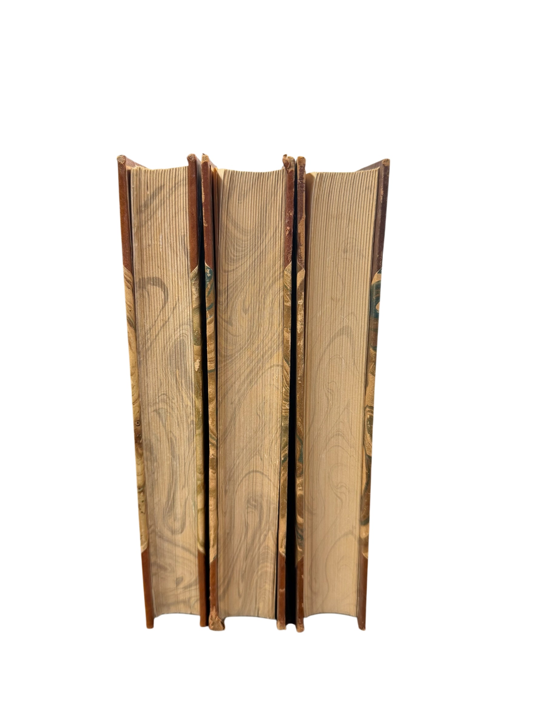 Set of 3 Victor Hugo & Scandinavian Antique Books