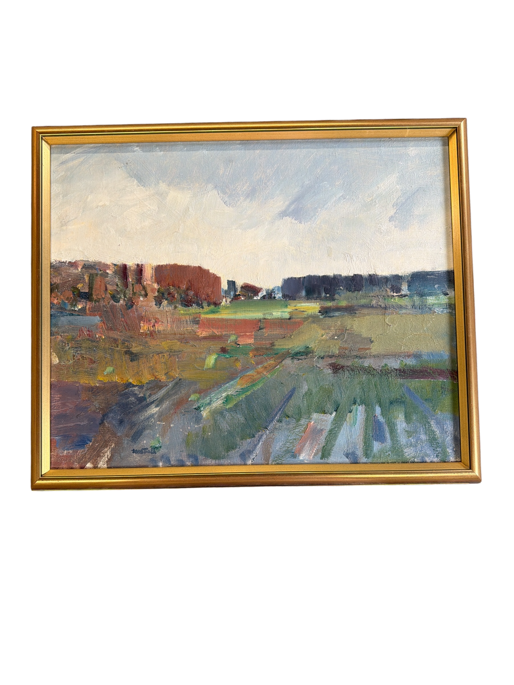 Framed Colorful Landscape Abstract