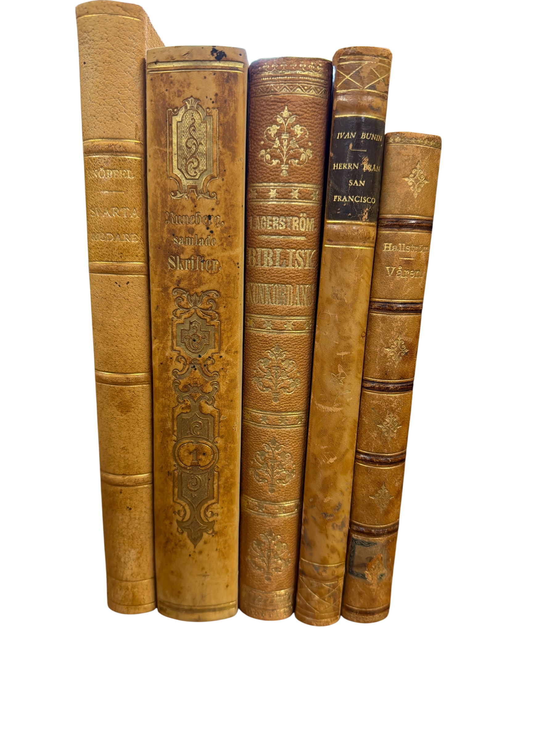 Set of 5 Mixed Antique Leather Books