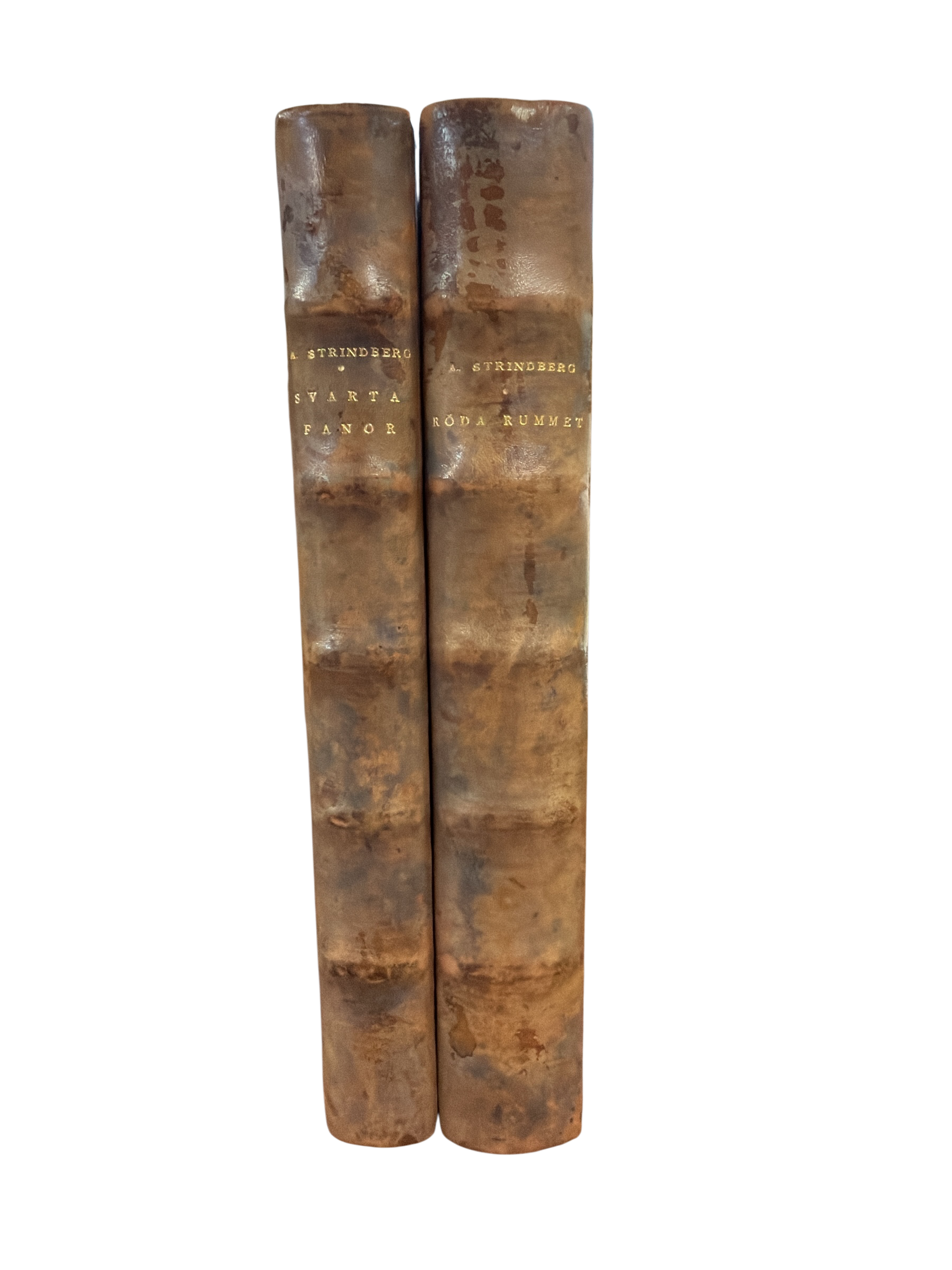 Set of 2 Antique Leather Books