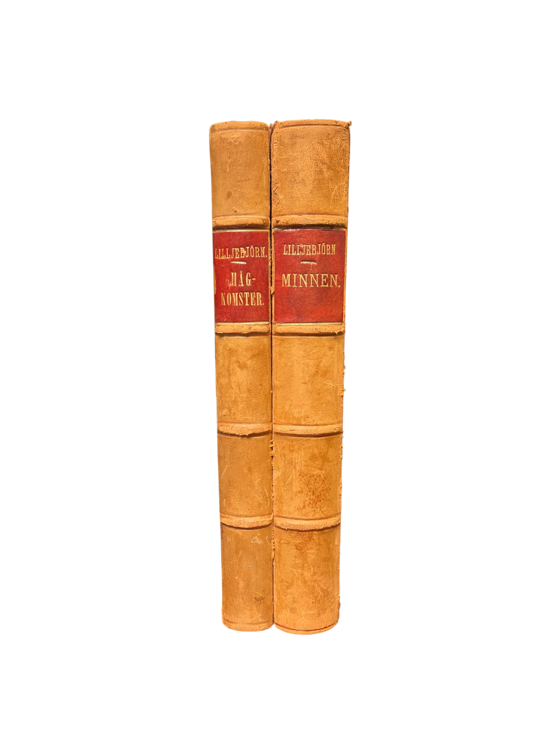 Set of 2 Antique Lilljebjörn Leather Book