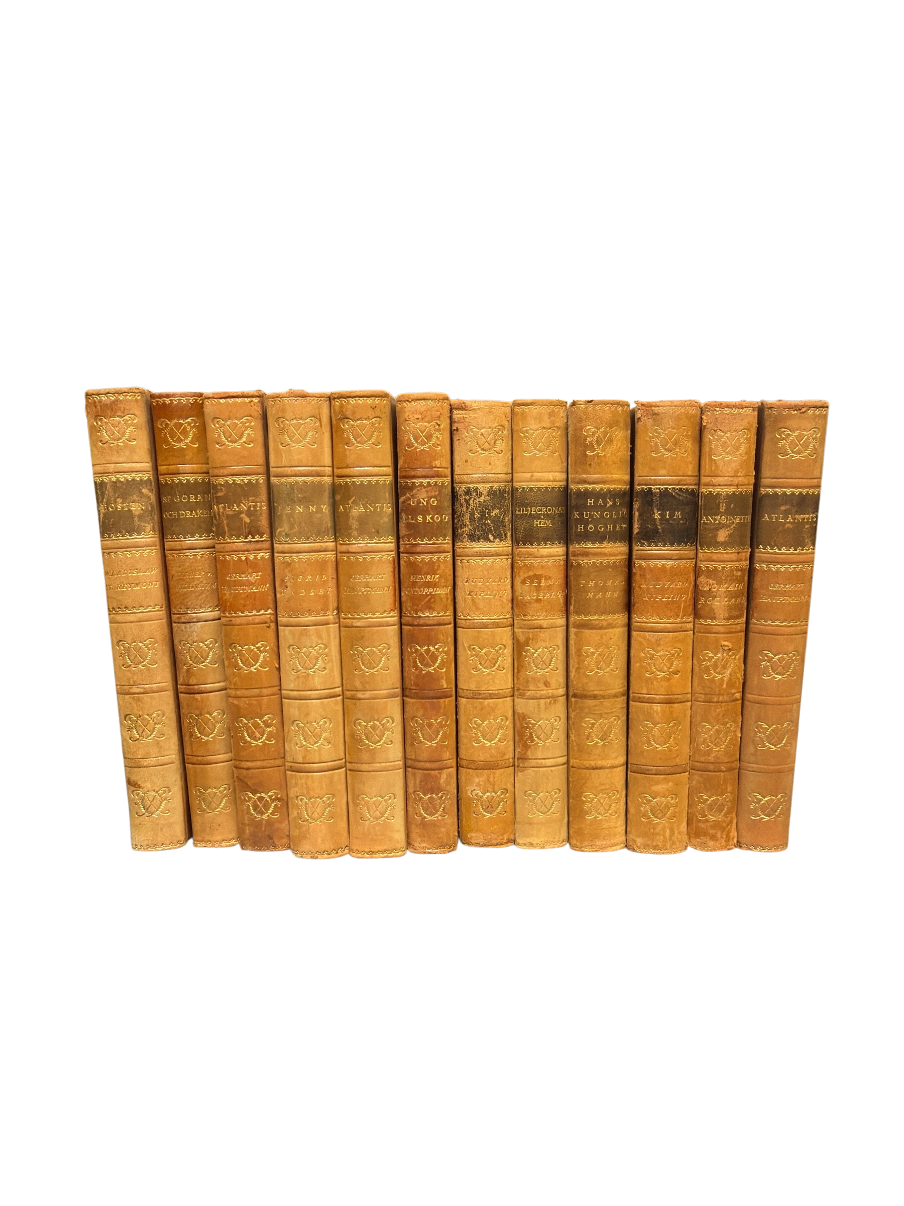 Set of 12 Antique Scandinavian Leather Books