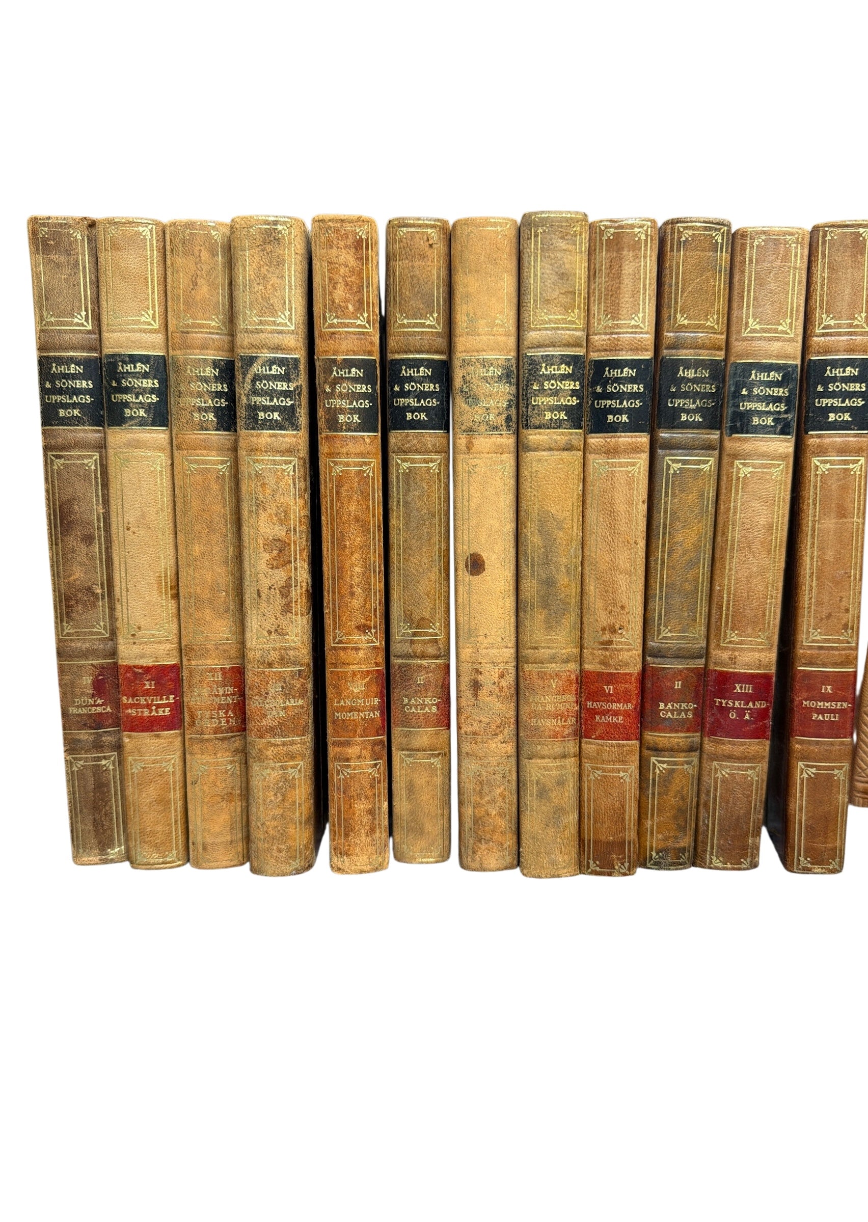 Set of 12 Antique Åhlén & Söners Uppslagsbok Leather Books
