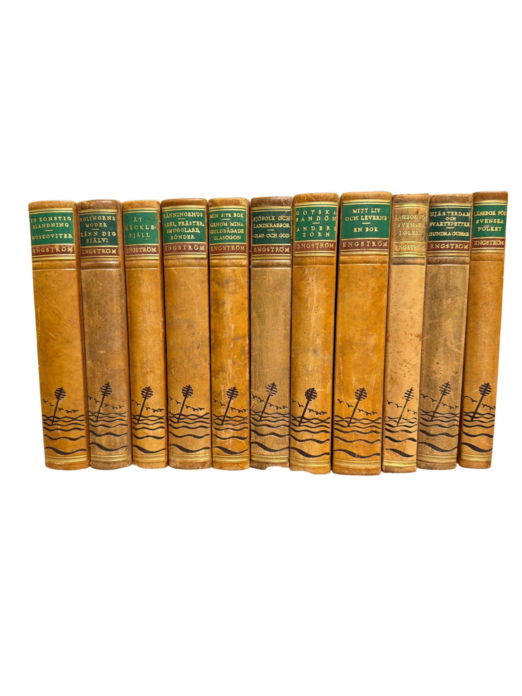 Set of 11 Antique Gustaf af Geijerstam Leather Books