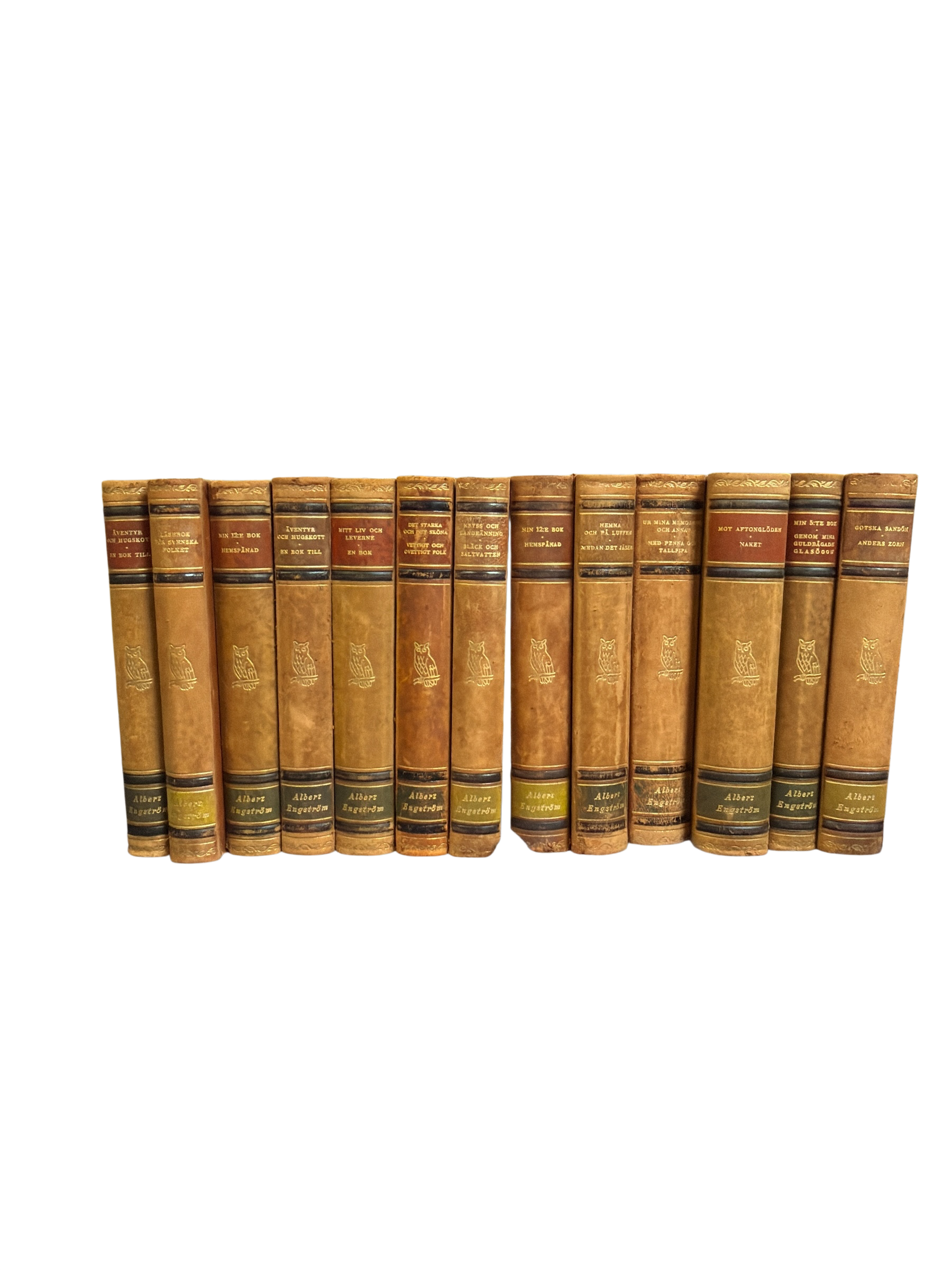 Set of 13 Albert Engström Antique Scandinavian Leather Books