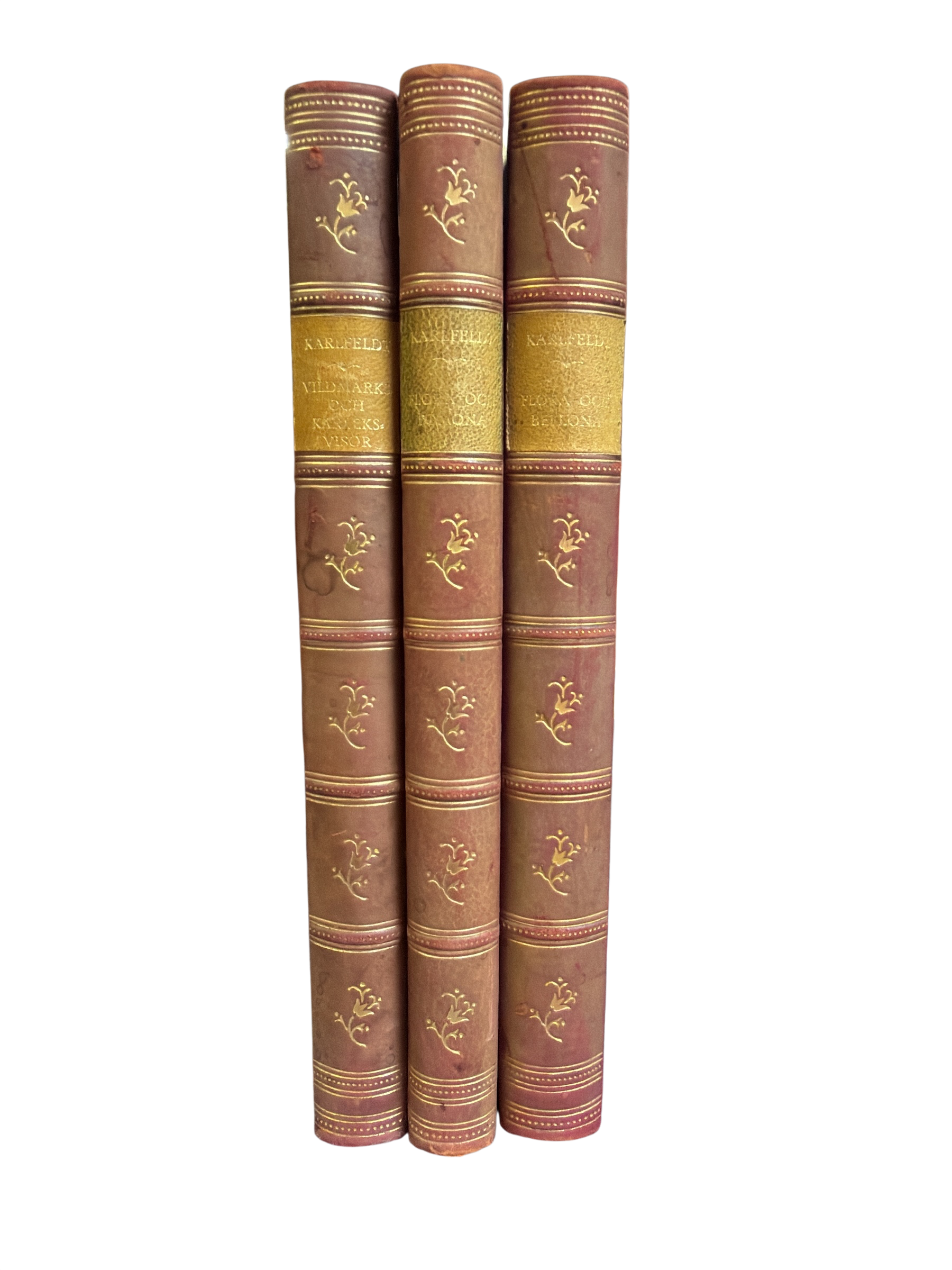 Set of 3 Karlfeldt Antique Scandinavian Leather Books