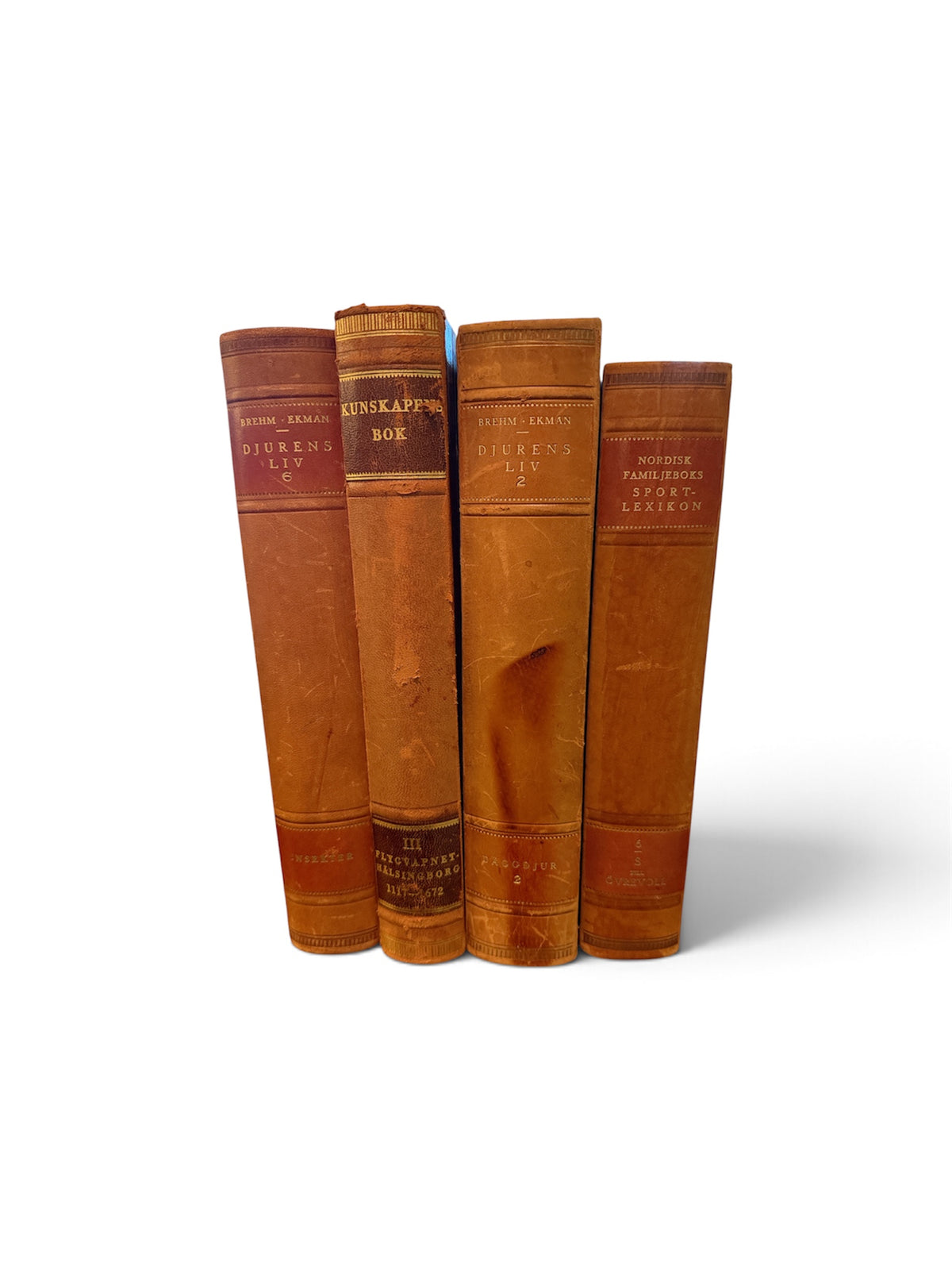 Set of 4 Djurens Liv Large Leather-Bound Books