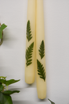 Set of 2 Leather Ferns Taper Candles