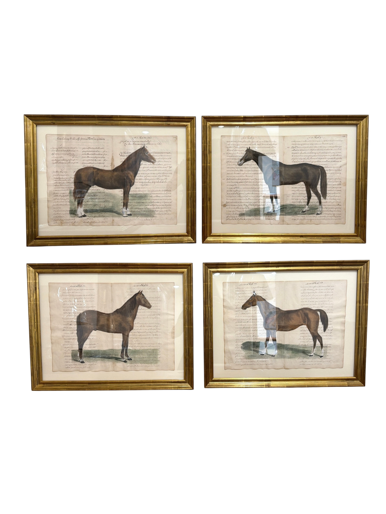 Set of Four Framed Equestrian Studies