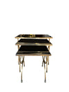 Brass and Smoked Glass Nesting Tables