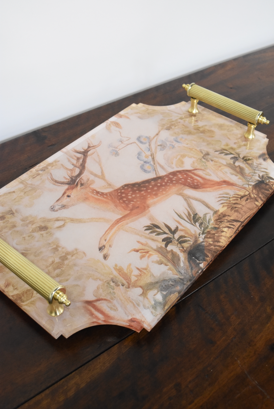 Large Stag Acrylic Tray with Brass Handles